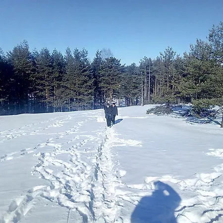 Milmari P50 Kopaonik